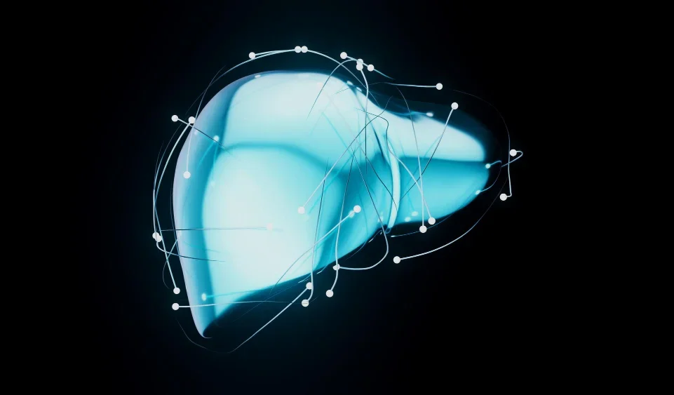 Detox Your Liver: A Step-By-Step Liver Cleanse