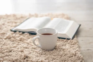 The Secret Life of Carpets: Choosing the Right Material